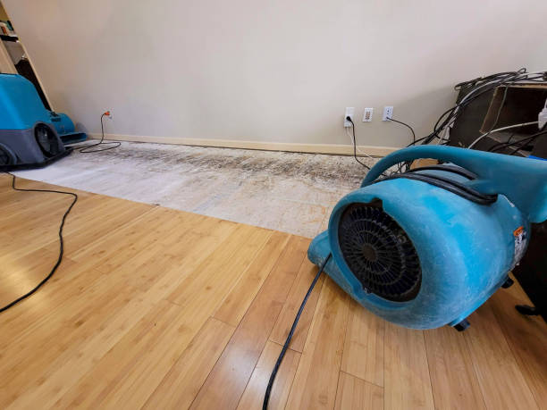 Professional Water Damage Repair technician working in Somerset, PA